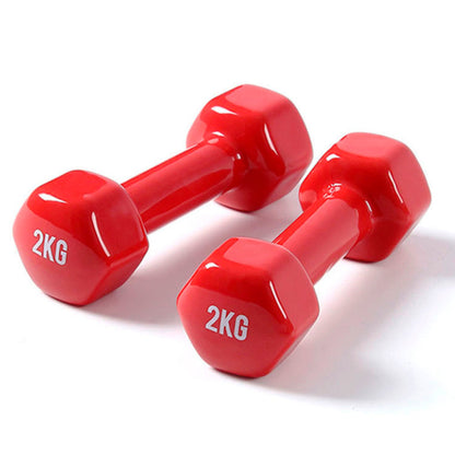 H PRO 2 KG Vinyl Dumbbell (Set of 2, 1kg Each)